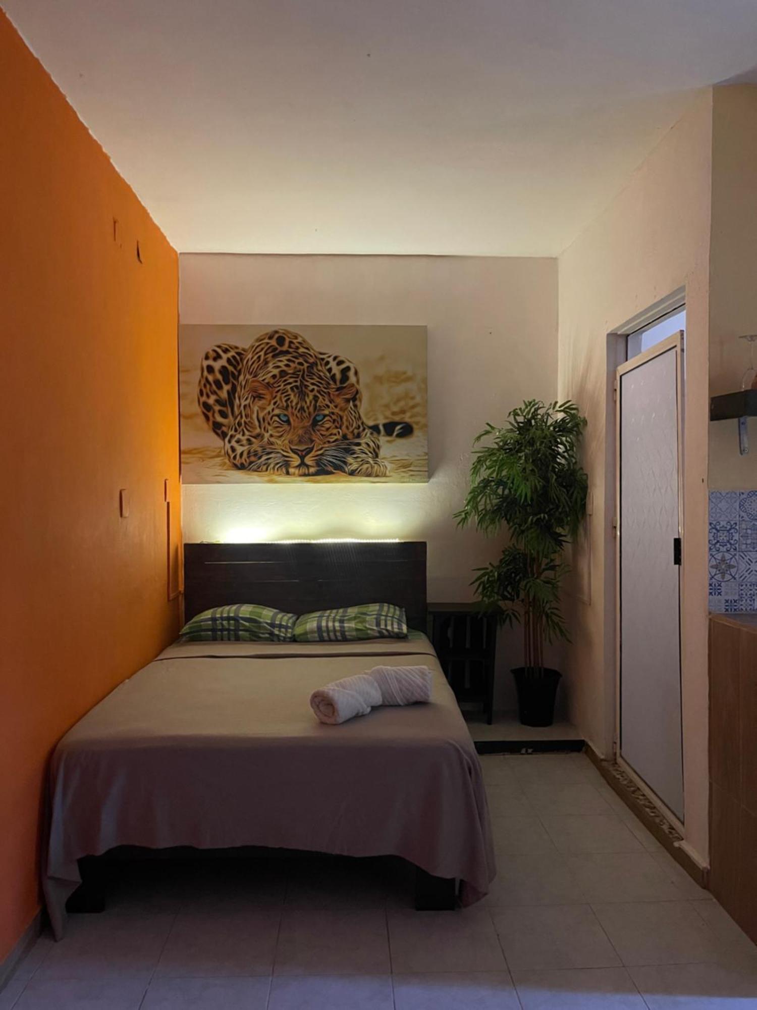 普拉亚卡门Casa Mar公寓 外观 照片